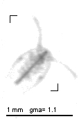 jb20121003_tot_1_400