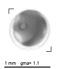 rg20121010_tot_1_119