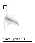 jb20121031_tot_1_424