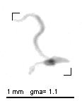 wp220121107_d2_1_394