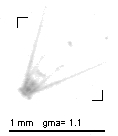 rg20121107_tot_1_240