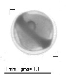 rg20121114_tot_1_365