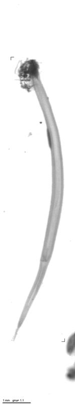 rg20130123_tot_1_425