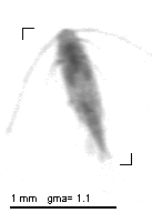 jb20130220_tot_1_228