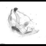 rg20130306_tot_1_54