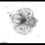 rg20130515_tot_1_378