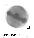 rg20131211_tot_1_322
