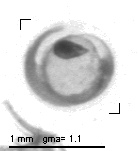 rg20140129_tot_1_182