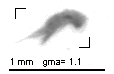 jb20140205_tot_1_476