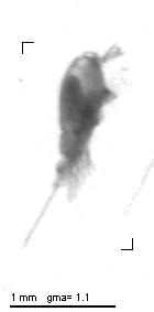 wp220140205_d2_1_152