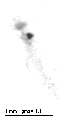 wp220140212_d2_1_107