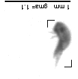 wp220140205_d2_1_764