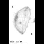 wp220140514_d2_1_849